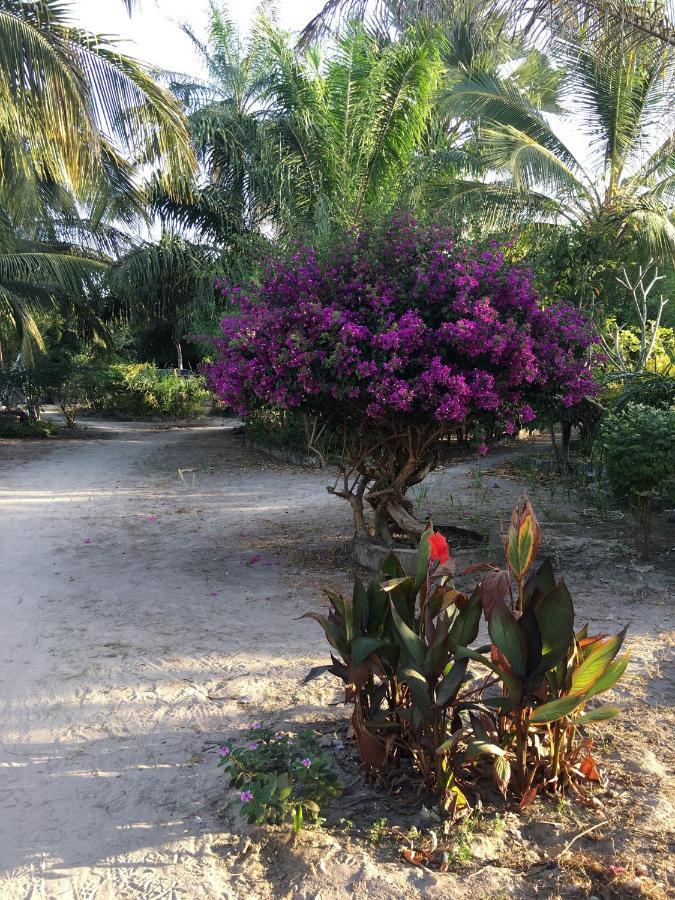 Karamba Lodge Kafountine المظهر الخارجي الصورة