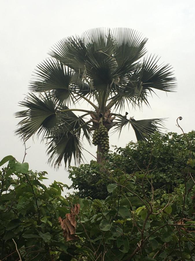 Karamba Lodge Kafountine المظهر الخارجي الصورة